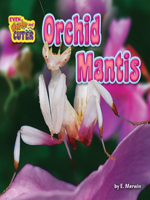cover image of Orchid Mantis